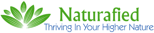Navbar Logo