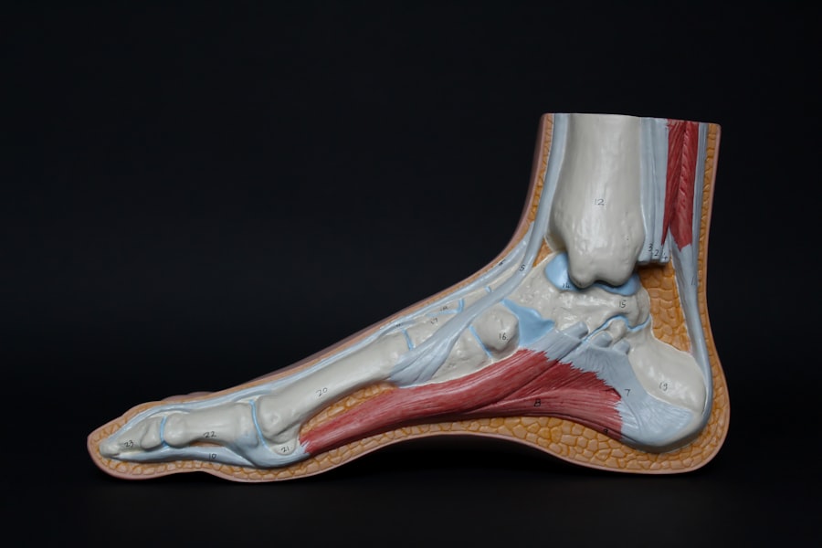 knee health