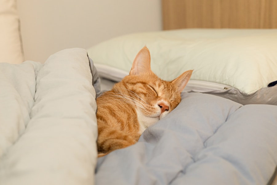 sleep-friendly environment