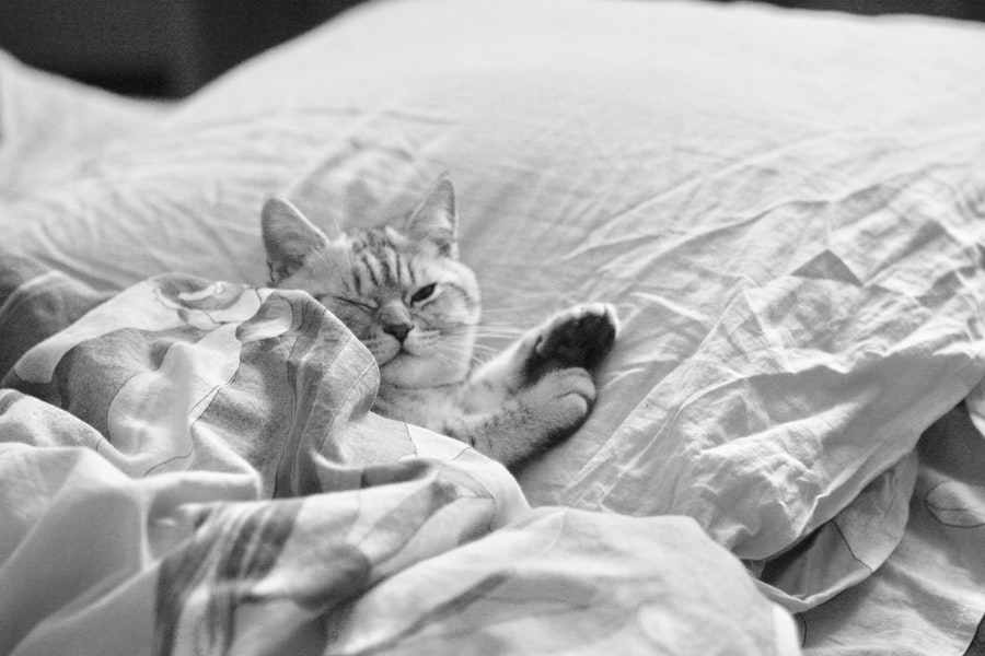 Bedtime routines