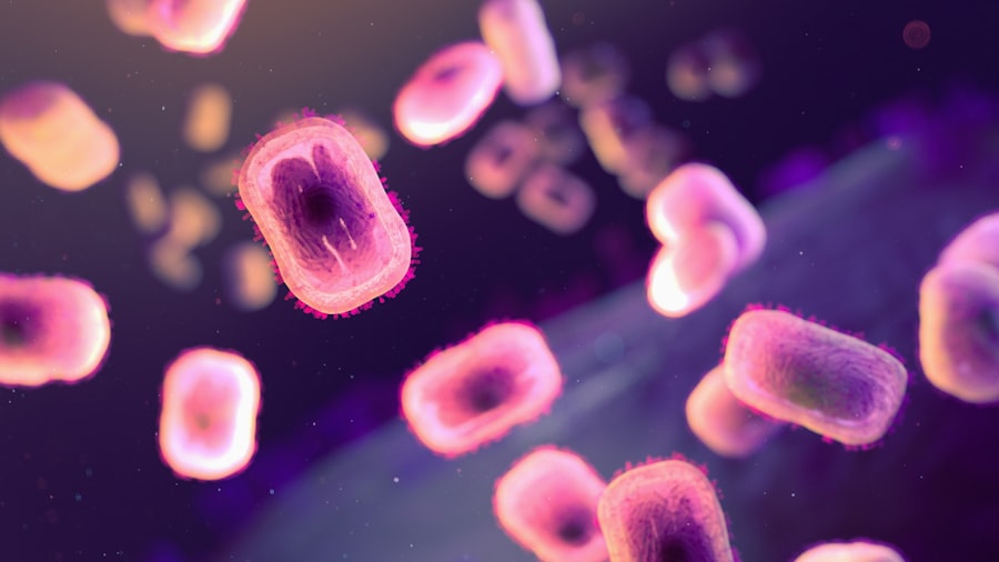 boost immune system