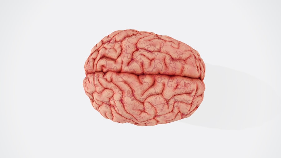brain health supplements