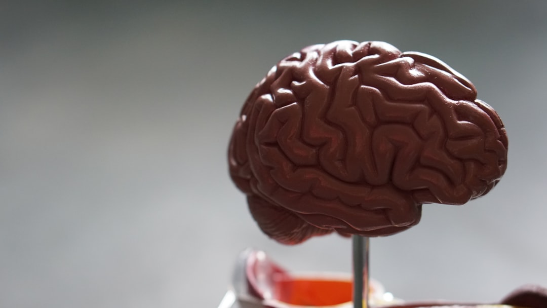Photo brain health vitamins
