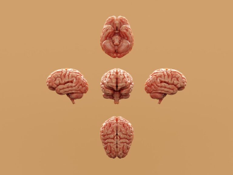 Photo brain health supplements