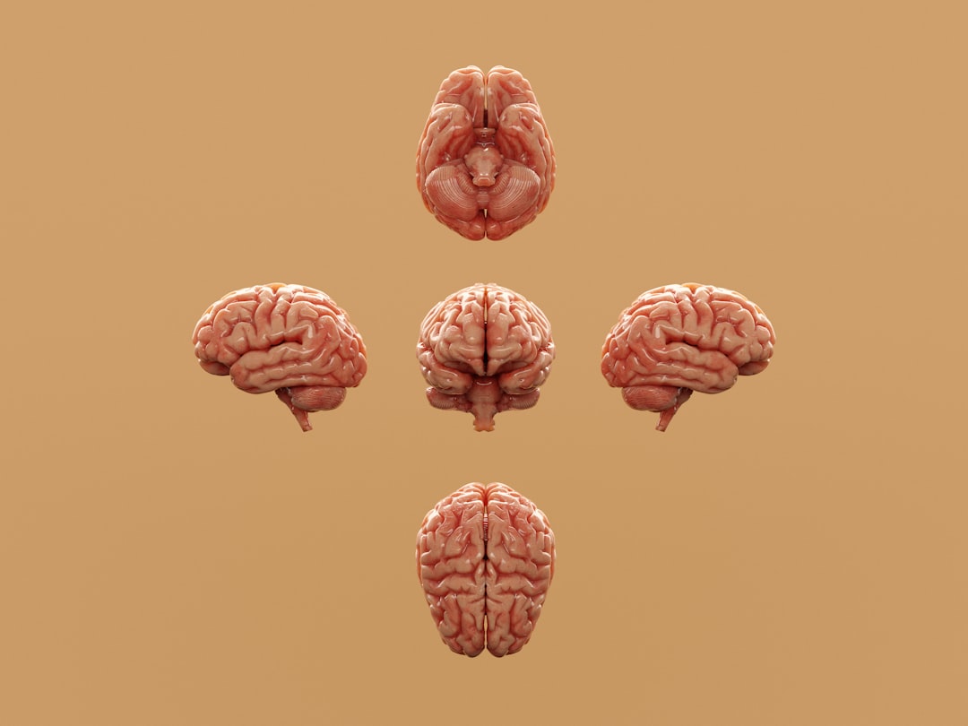 Photo brain health supplements