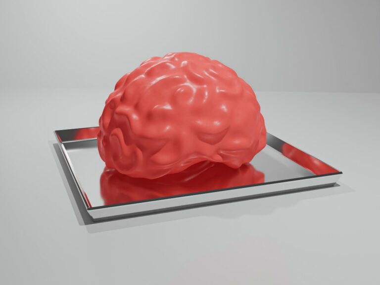 Photo brain exercises