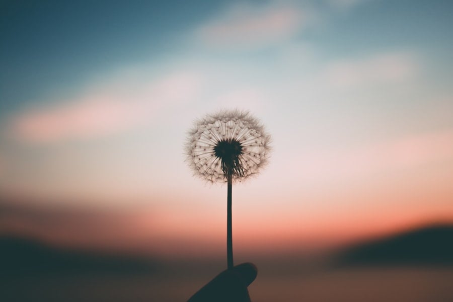 Photo mindfulness