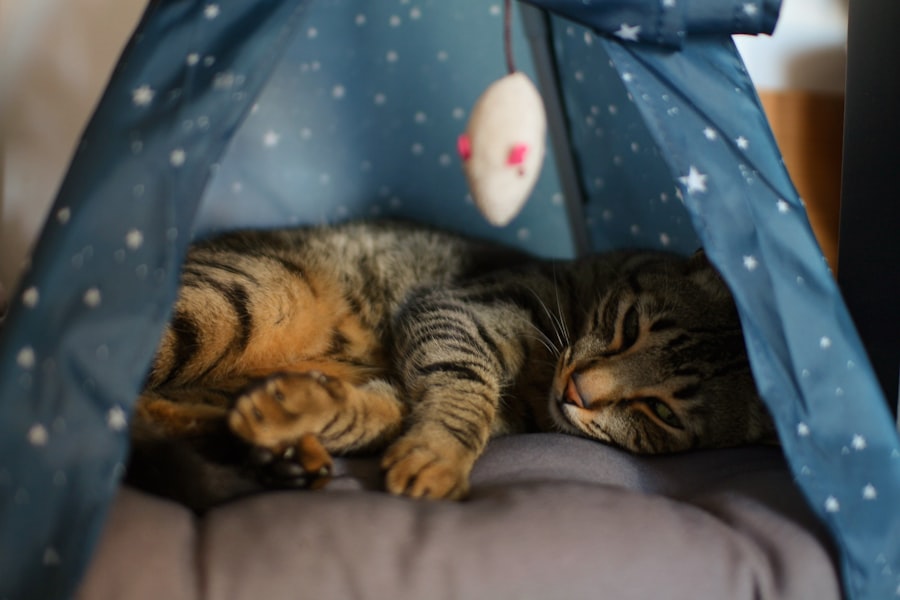 Photo sleep-friendly environment