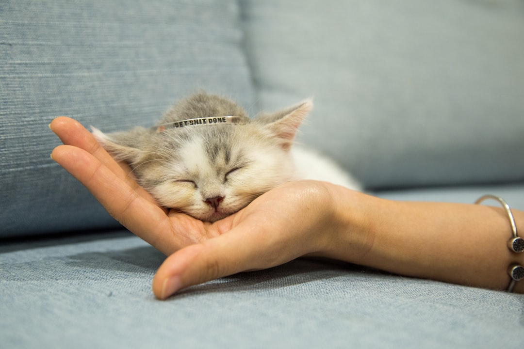 Photo sleep meditation techniques