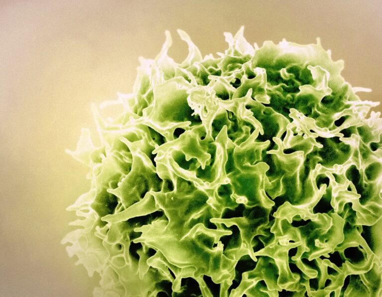 Photo immune system booster