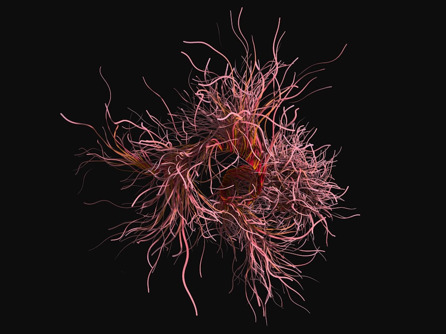 Photo immune system booster
