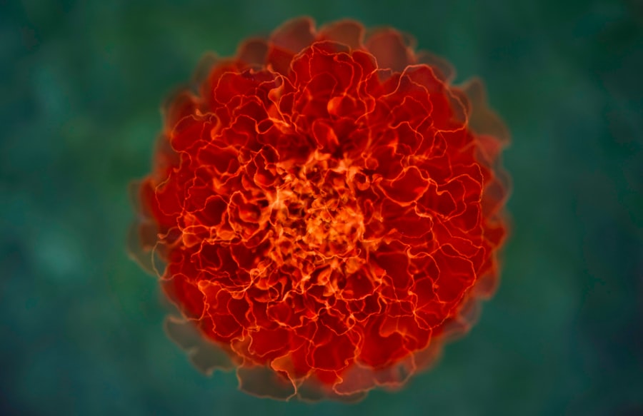 Photo boost immune system